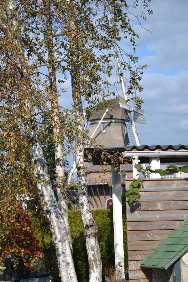 Morpheus Bed & Breakfast Amsterdam Luaran gambar